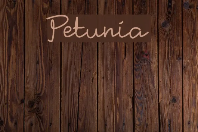Petunia Example 3