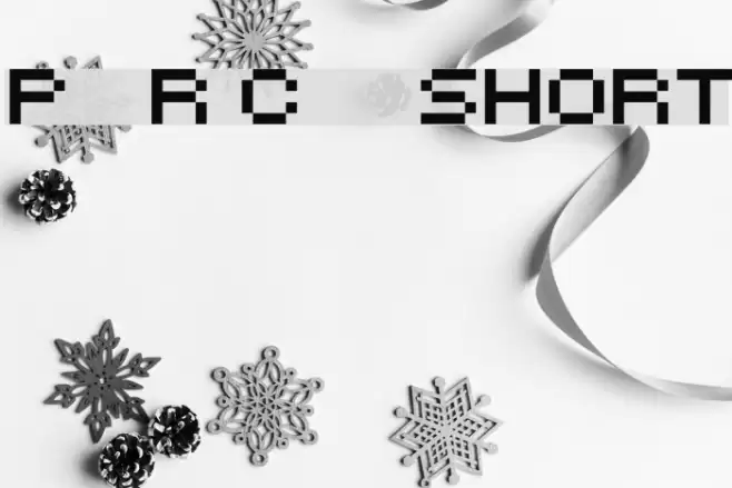 Petyka - Retro Computer___SHORT Font examples