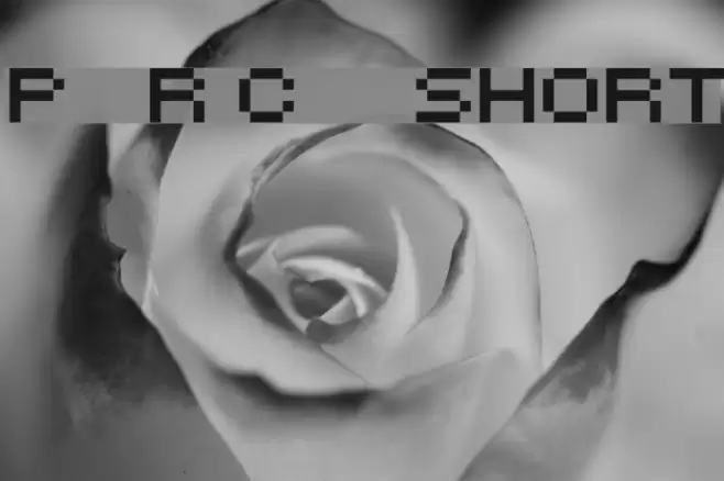 Petyka - Retro Computer___SHORT Font examples