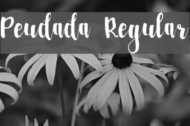 Peudada Regular Font examples