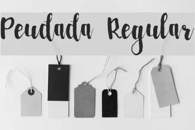 Peudada Regular Font examples