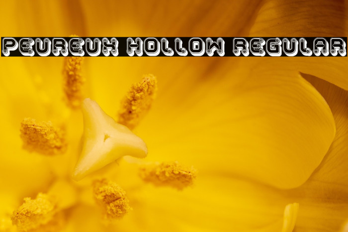 Peureux Hollow Regular Example 1