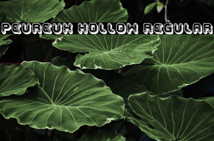 Peureux Hollow Regular Example 2