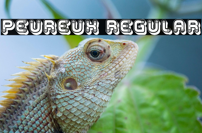 Peureux Regular Example 1