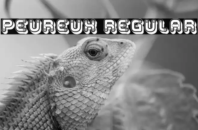 Peureux Regular Font examples
