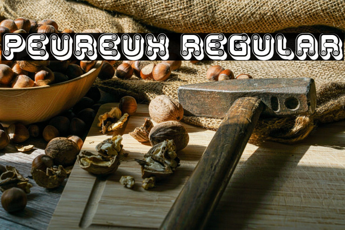 Peureux Regular Example 2