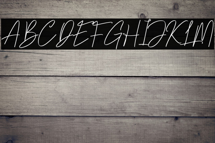 Pevanytta Signature Example 2