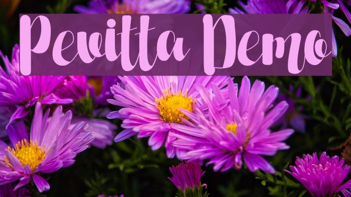 Pevitta Demo Font examples