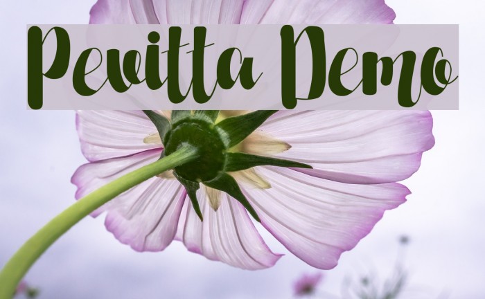 Pevitta Demo Font examples