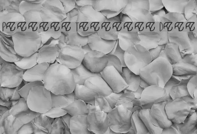 Pevitta Typeface Demo Font examples