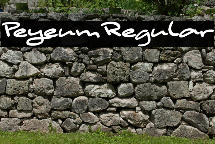 PeyeumRegular Example 1