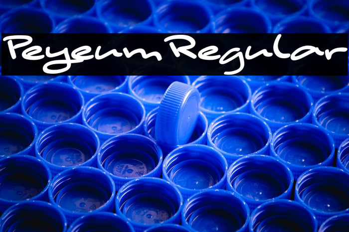 PeyeumRegular Example 3