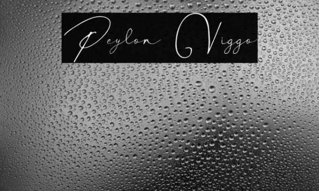 Peylon Viggo Font examples
