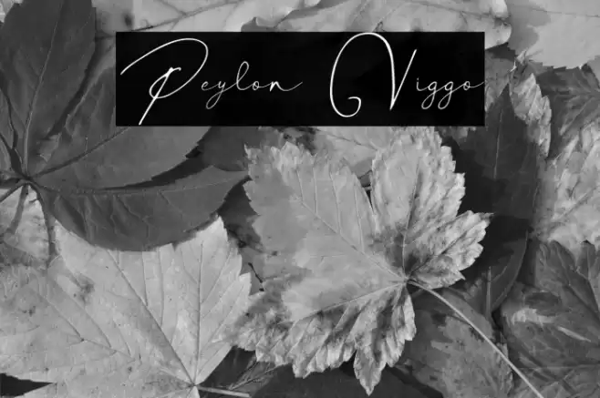 Peylon Viggo Font examples