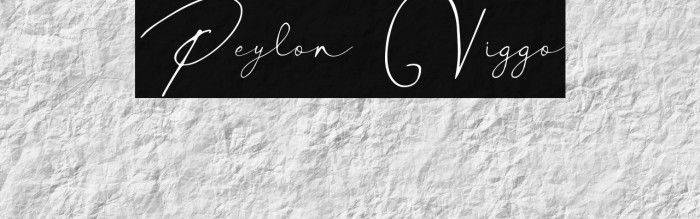 Peylon Viggo Example 3