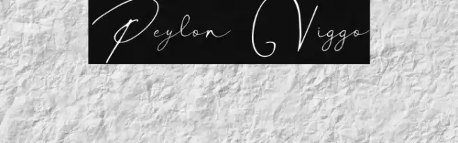 Peylon Viggo Font examples