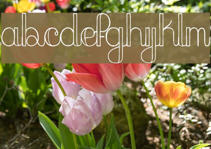 peach sundress ~ Font examples