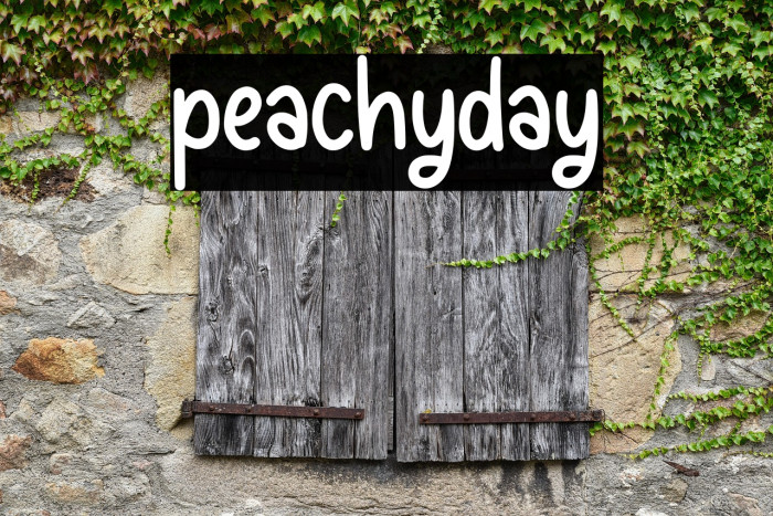 peachyday Example 1