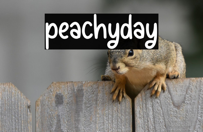 peachyday Example 3