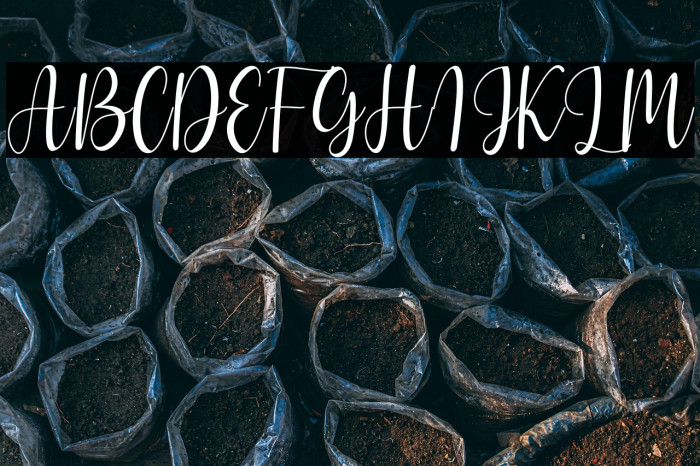 pearl white Example 2