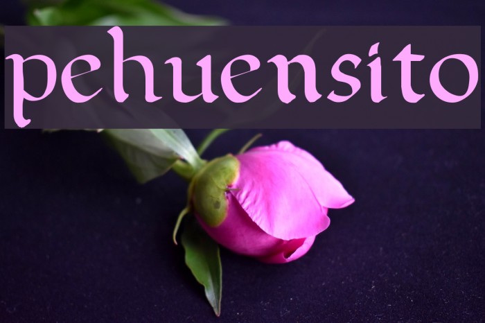 pehuensito Font examples