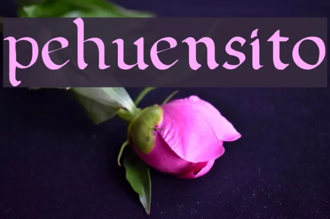 pehuensito Example 1