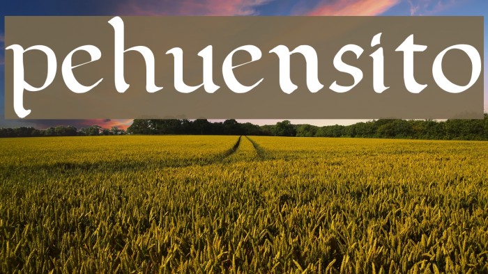 pehuensito Font examples