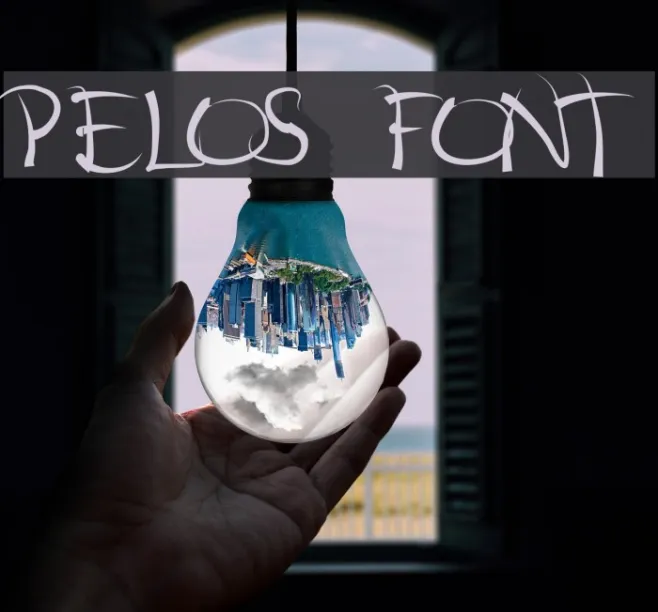 pelos Example 1