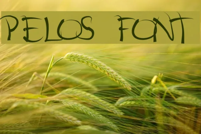 pelos Example 2