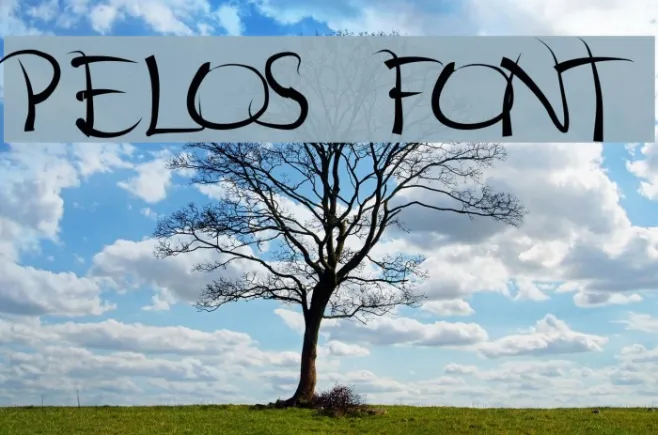pelos Example 3