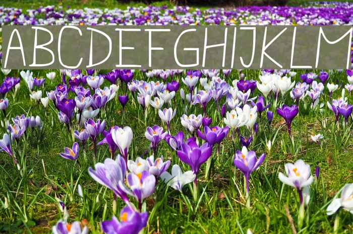 pencilCASE Example 3