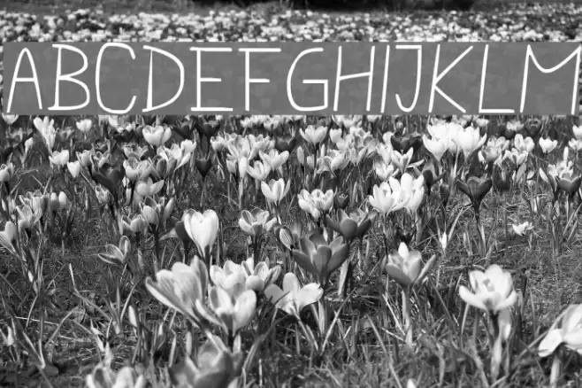 pencilCASE Font examples