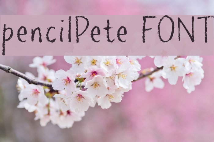 pencilPete FONT Font examples