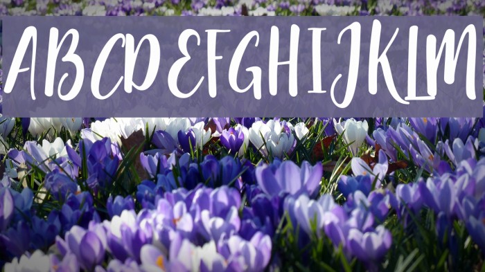 pequescript Font examples