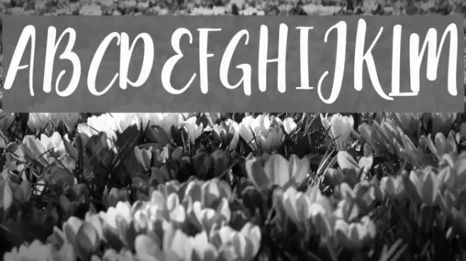 pequescript Fuentes examples