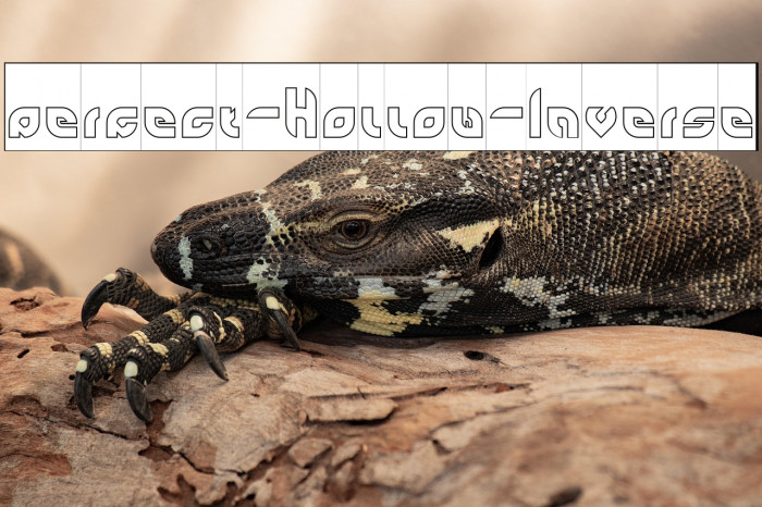 perfect-Hollow-Inverse Example 3