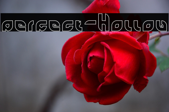 perfect-Hollow Example 3