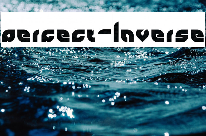 perfect-Inverse Example 1