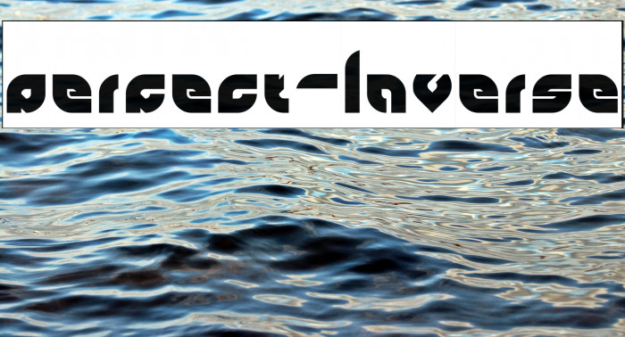 perfect-Inverse Example 2