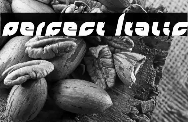 perfect Italic Font examples