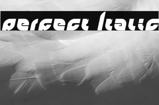 perfect Italic Font examples