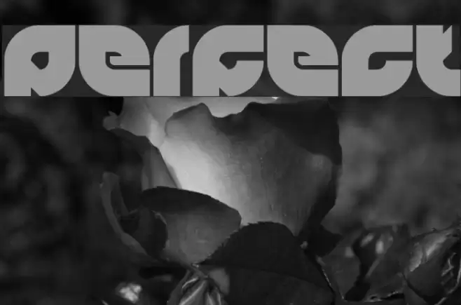 perfect Font examples