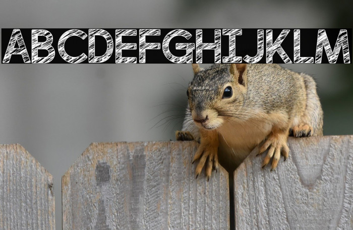 perfectly scratchy Regular Example 2