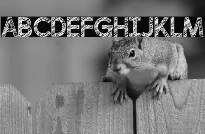 perfectly scratchy Regular Font examples