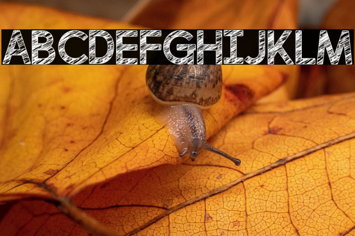 perfectly scratchy Regular Example 3