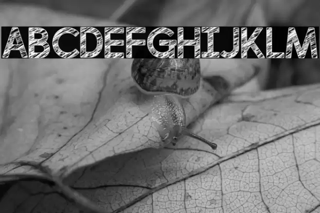 perfectly scratchy Regular Font examples