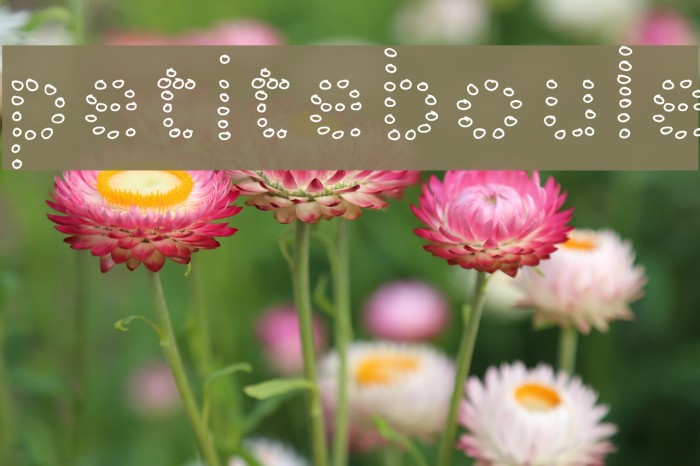 petiteboule Font examples