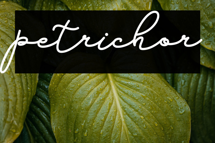petrichor Example 2