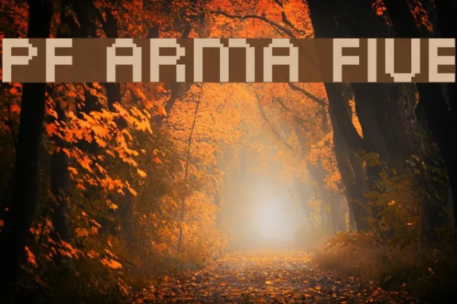 PF Arma Five Example 3
