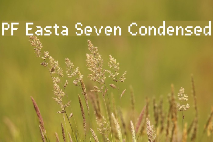 PF Easta Seven Condensed Caratteri examples